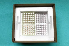 The Cooler-100 (Final)